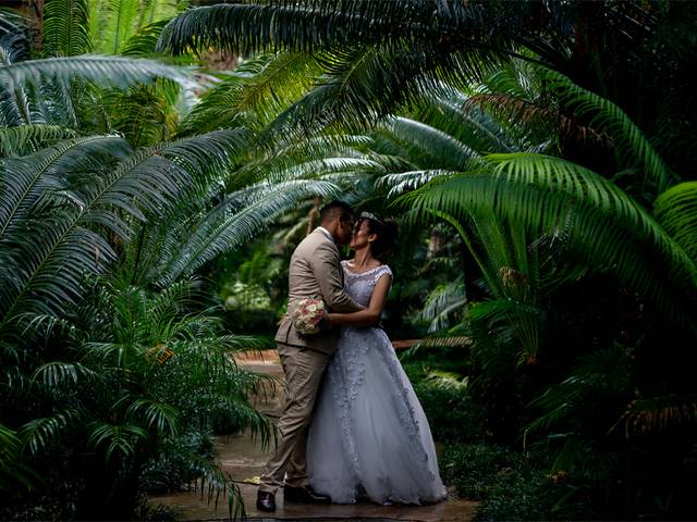 Casamento de O grande dia 
