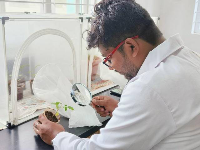 Leaf Lab of Leaf Lab