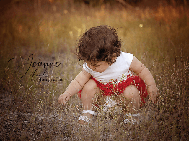 Família de Família Romão