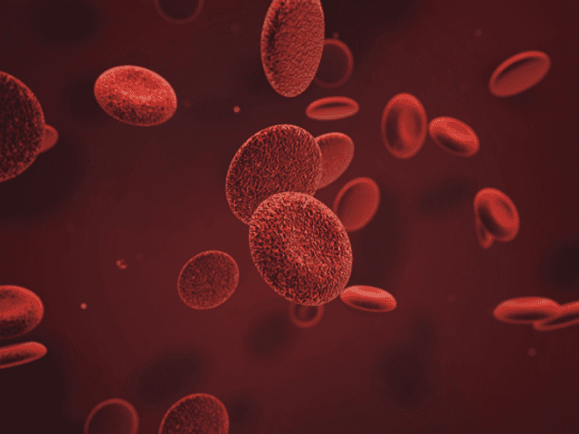 BioCell of BioCell Blood Health Support Reviews & Does It Really 100% Work?