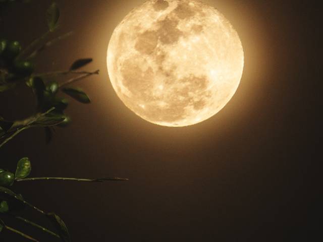 Natureza de QUADROS NATUREZA 