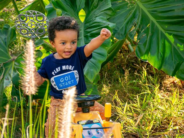 Ensaio infantil de Ensaio Infantil no Parque
