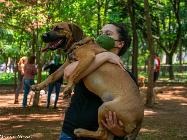 Ensaio Pet de Ensaio Pet - Zazá e Lelê