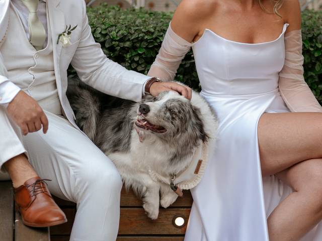 Casamento de Giovanna + Éder