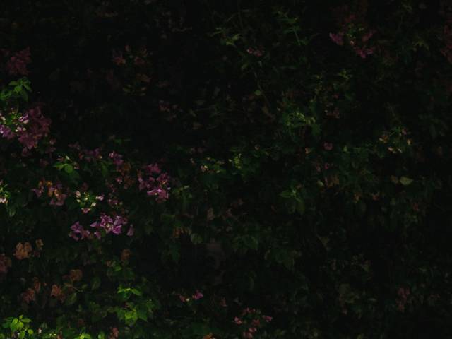 Casamento de Wedding | Tharcilla e Jefferson