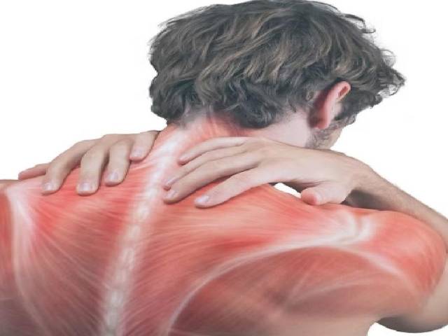 ArthroMax+ Cream of ArthroMax+ Cream