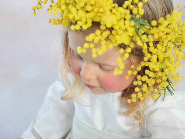 Estúdio de Sessão de Primavera