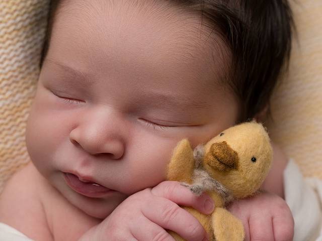 Newborn de Ensaio Newborn