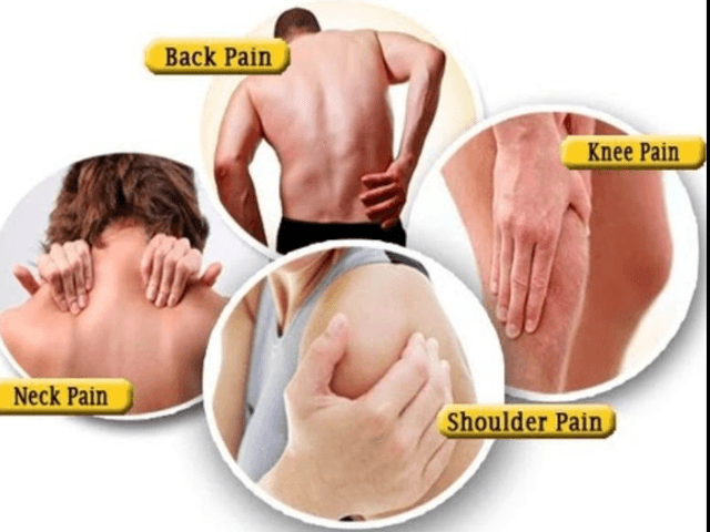 Health Benefits of Pro Life CBD Gummies Reviews : Reviews, |Reduces Pain, Stress, Anxiety| Does it Really Works?