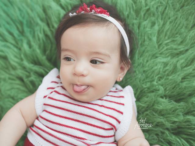 Família de Book 6 meses Anna Julia