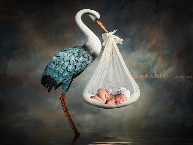 NEWBORN de NEWBORN LUCCA