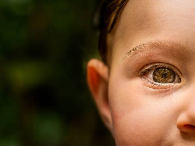 Infantil e Família de Davi |