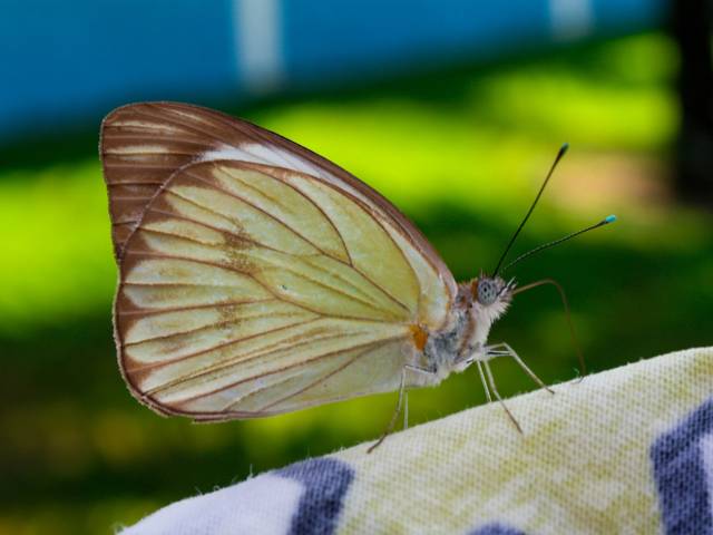 Registros de Registros