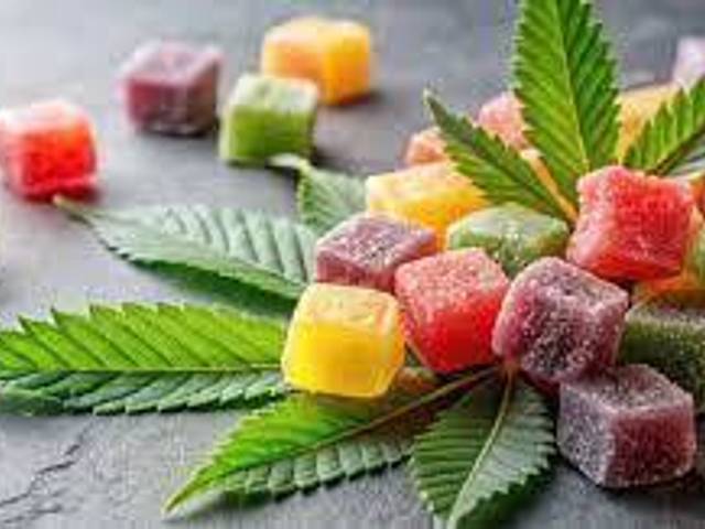 Health of Why Forest Mountain Farms CBD Gummies Are Becoming a Wellness Favorite