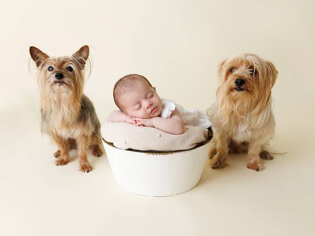 Crianças de Clara - 1 mês