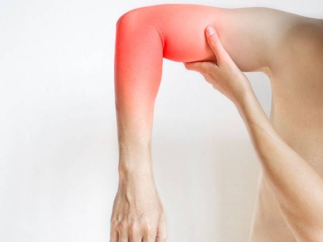 Health of Forest Mountain Farms CBD Gummies Benefits and Costs!