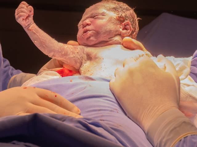 ESPECIAIS de Maria Liz - Maria Eduarda Bonaldo