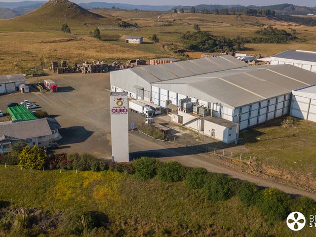 INSTITUCIONAIS de Frutas de Ouro - 20 Anos