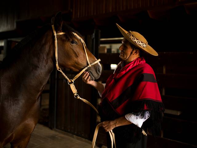 Música de Walther Morais