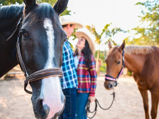 ENSAIO de Luana e Diego