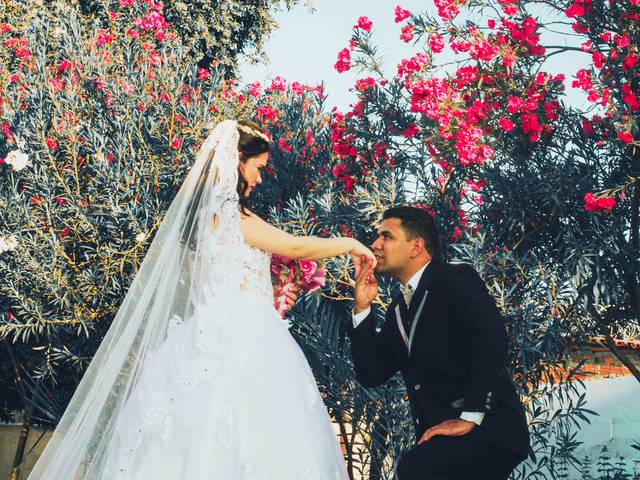 Casamento  de Ana e Fernando