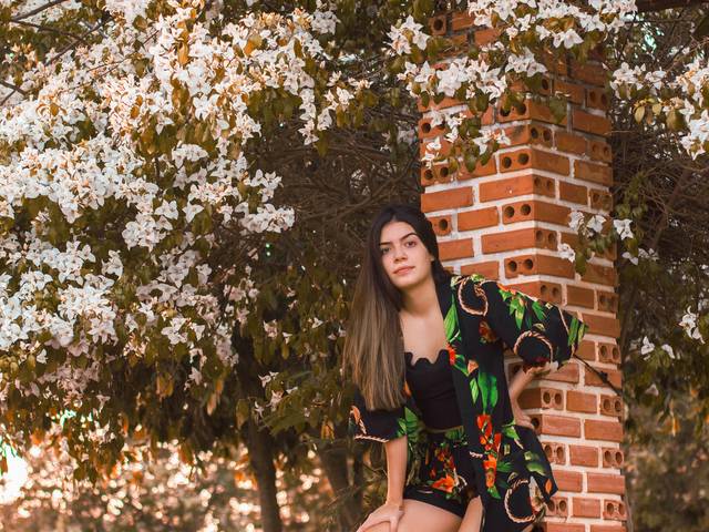 15 Anos de Heloisa Braga