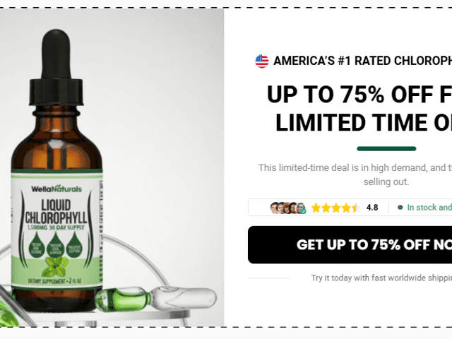 Ecommerce of WellaNaturals Chlorophyll Drops Reviews – Benefits, Uses, and Is It Worth Buying?