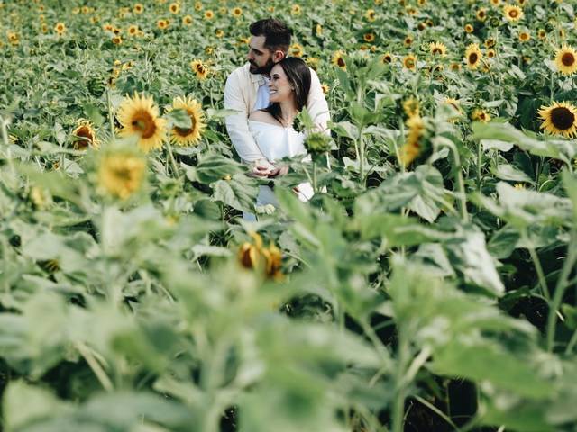 Sessão Gestante de Bianca + Nikolas + Matteo