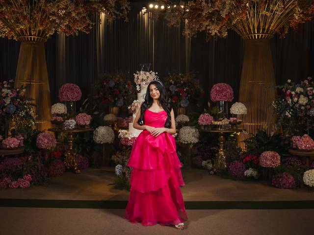 15 Anos de Luiza Prodosimo