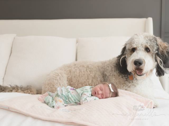 NEWBORN LIFESTYLE of Orlando Newborn Photographer