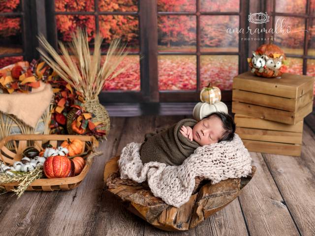 NEWBORN of Denver Newborn Photographer