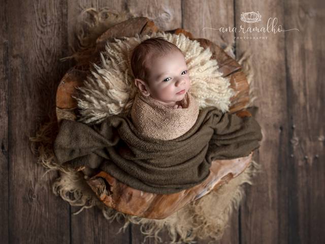 NEWBORN of Denver Newborn Photographer