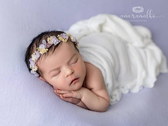 NEWBORN of Denver Newborn Photographer