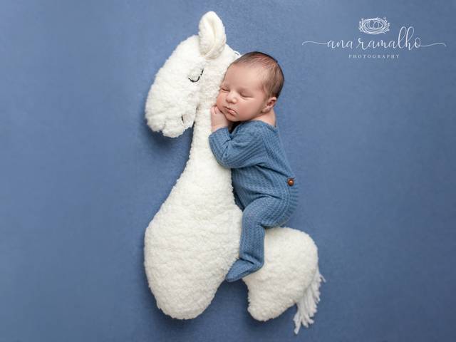 NEWBORN of Orlando Newborn Photographer