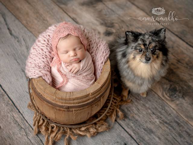 NEWBORN of Orlando Newborn Photographer