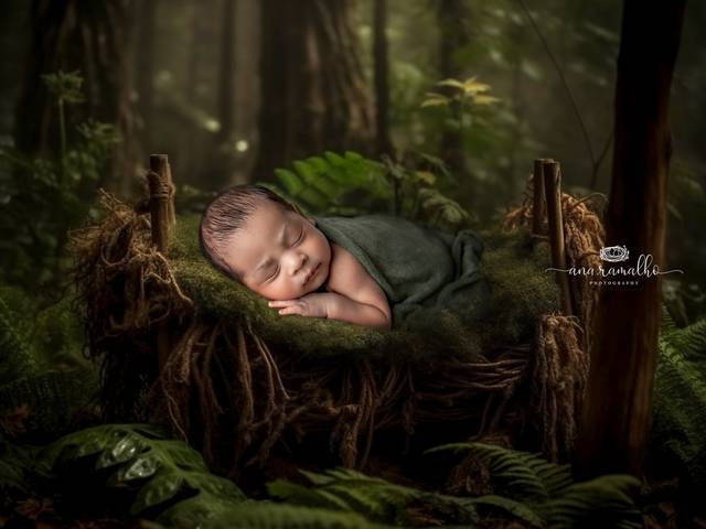 NEWBORN of Orlando Newborn Photographer