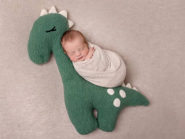NEWBORN of Orlando Newborn Photographer