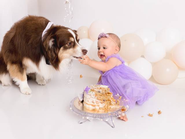 CAKE SMASH of Orlando Smash the Cake Photographer