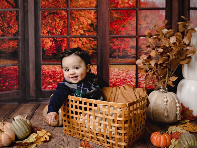 BABY of Orlando Baby Photography