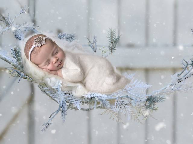 NEWBORN of Georgia, In-home Newborn Photo Session