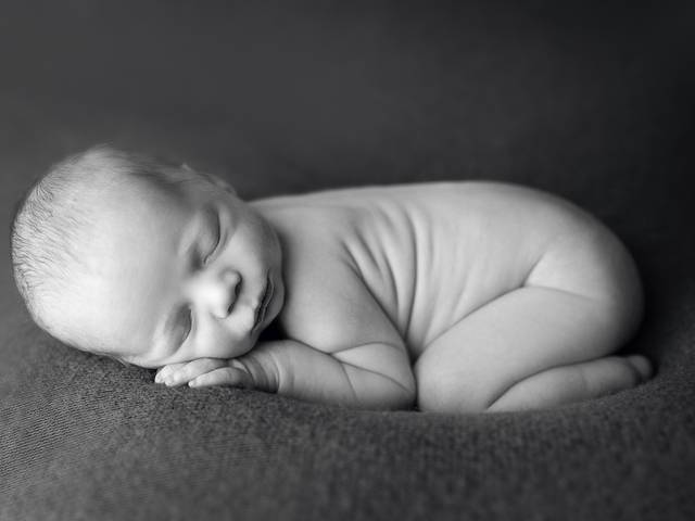 NEWBORN of Denver Newborn Photographer