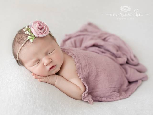NEWBORN of Denver Newborn Photographer