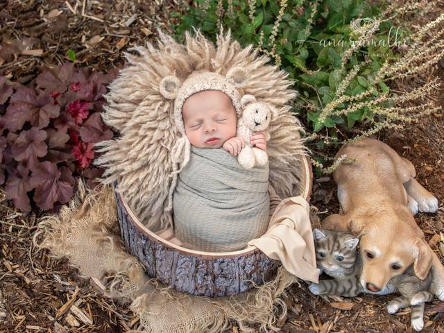 NEWBORN of Denver Newborn Photographer