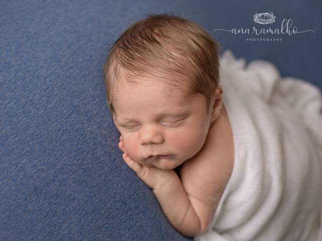 NEWBORN of Denver Newborn Photographer