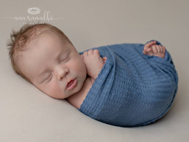 NEWBORN of Denver Newborn Photographer