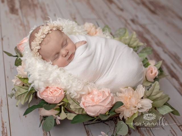 NEWBORN of Denver Newborn Photographer