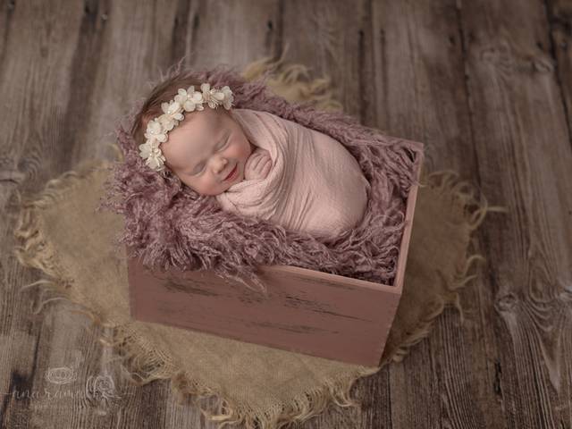 NEWBORN of Denver Newborn Photographer