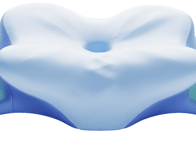 Health of Derila Ergo Pillow Reviews: Best Memory Foam Pillow for Neck Pain & Spinal Alignment