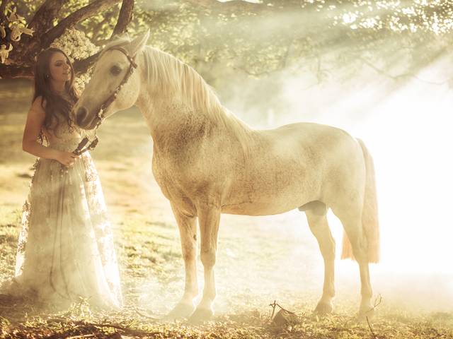 BOOK FIFTEEN de JÚLIA LIZ