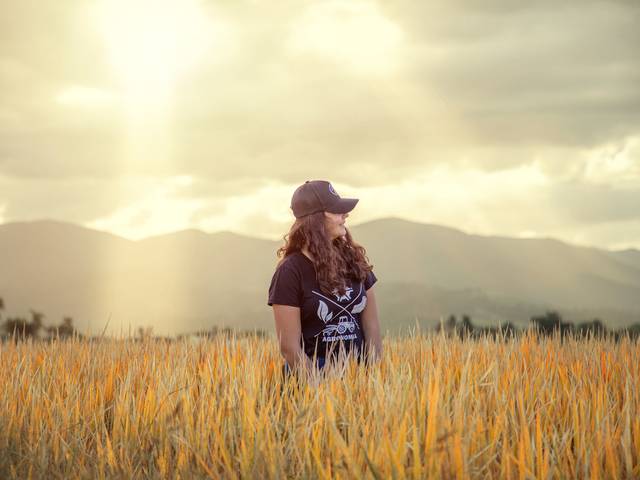 Book 15 anos de Book 15 Anos da Ana Clara